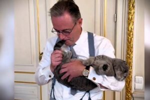 A part ça… Opération Cornemuse