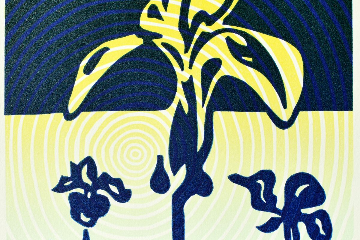 Un gouvernement bruxellois après 613 jours ? Non, peut-être !