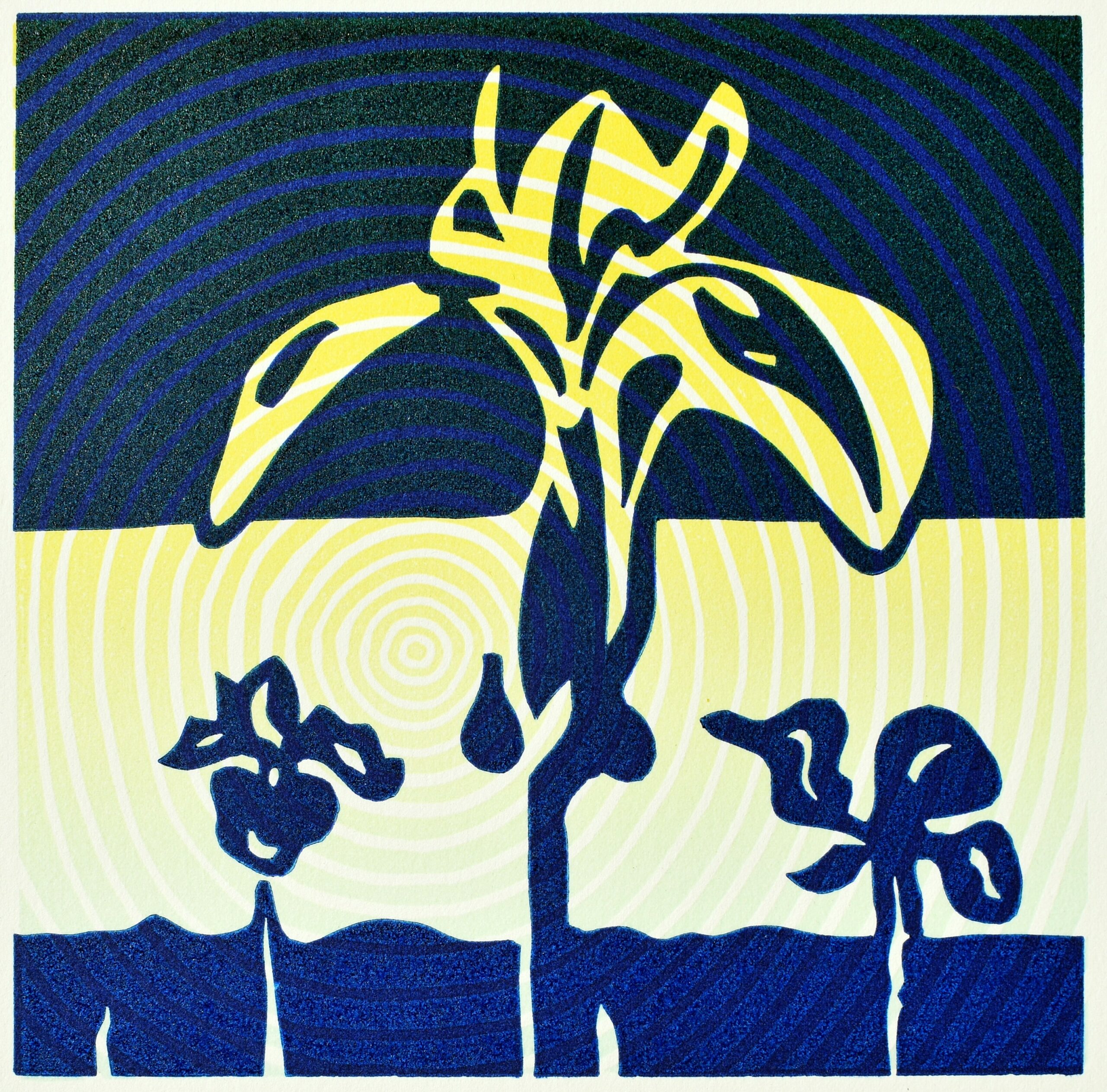 Un gouvernement bruxellois après 613 jours ? Non, peut-être !