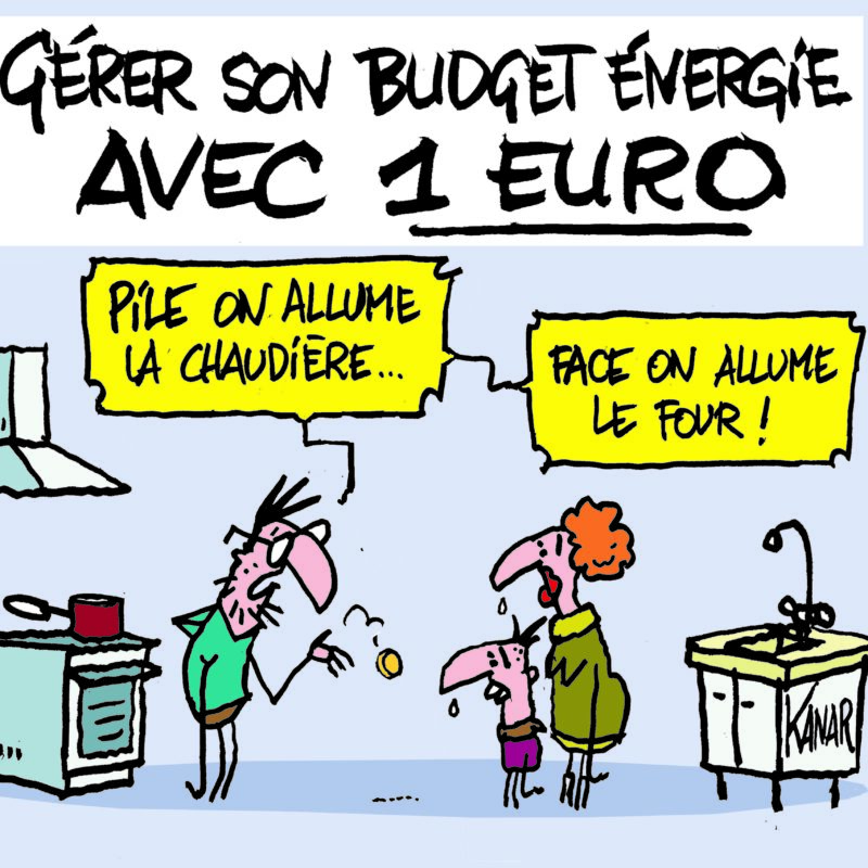 Gérer son budget énergie avec 1€