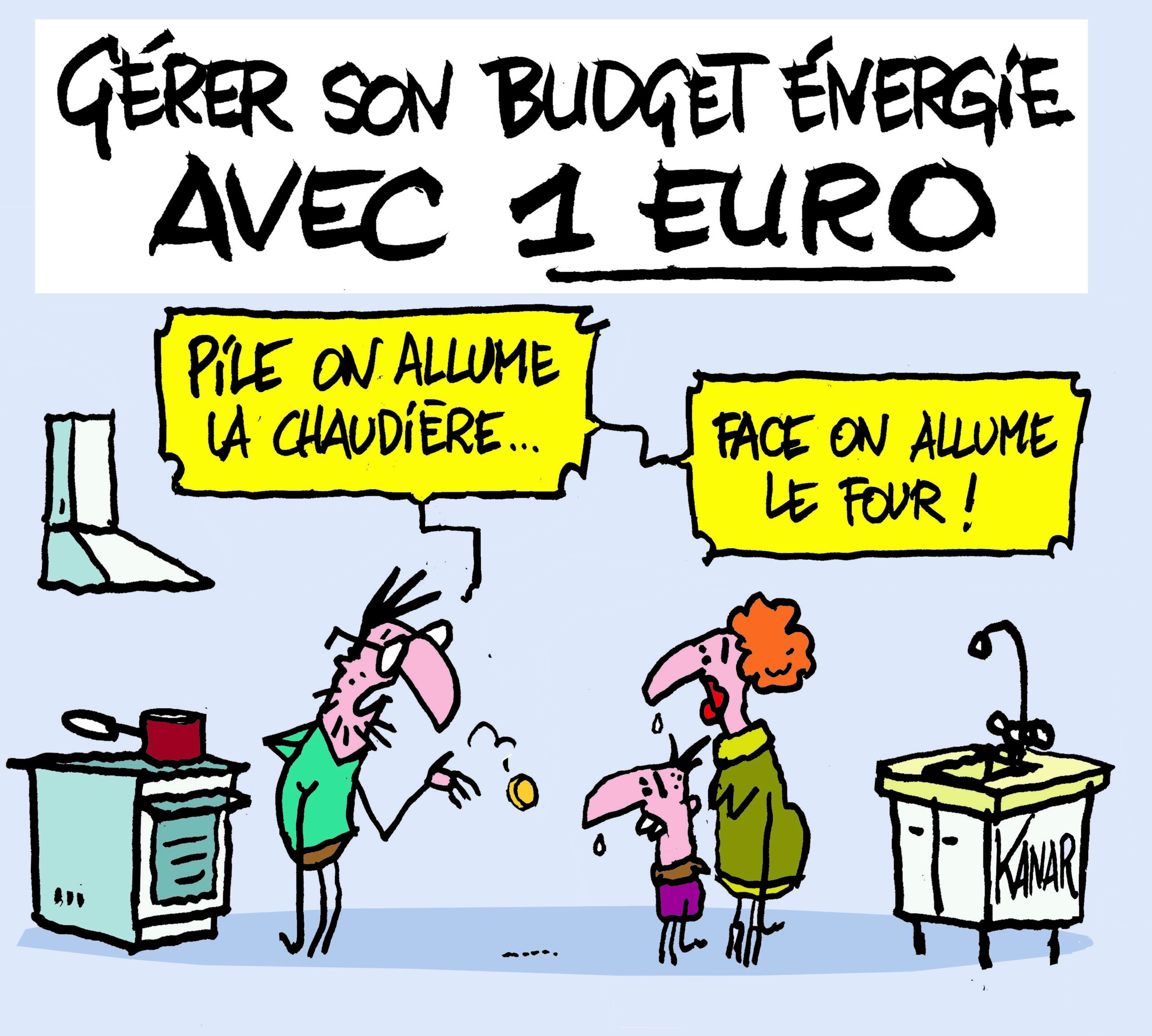 Gérer son budget énergie avec 1€