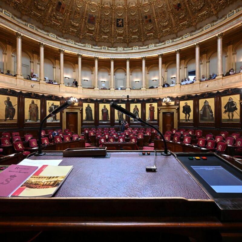 Sénat : tout flinguer ?