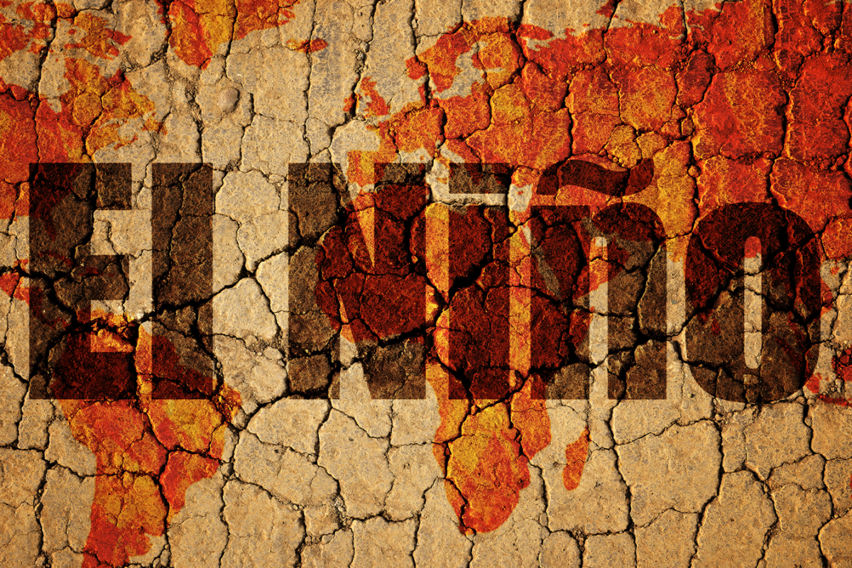 El Niño revient : une onde de choc jusqu’en Belgique ?